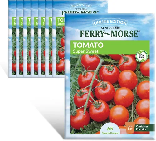 Vista 15 de Ferry-Morse Edición Online Bean Blue Lake Bush 274 Semillas Orgánicas Multipack – Paquete de 8