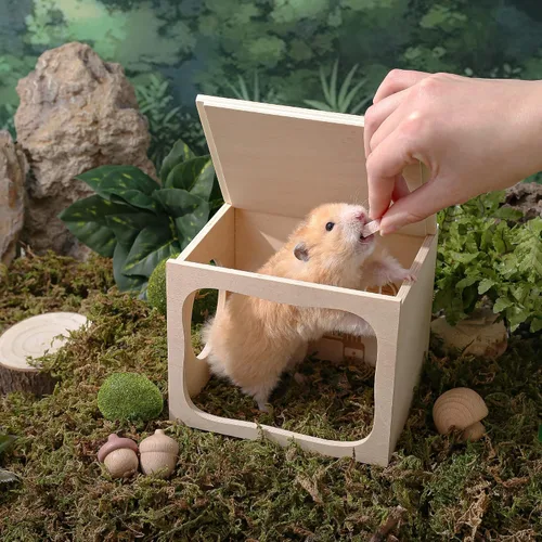 Vista 7 de Casa de madera para hámster, túnel de hábitat para mascotas