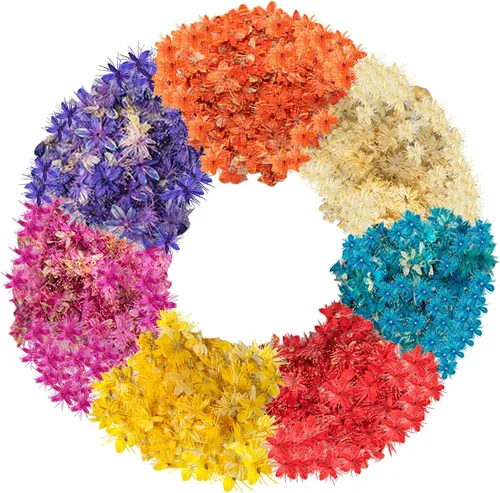 Vista 11 de 48 piezas de flores secas prensadas para manualidades, resina, bricolaje, flores naturales secas y epoxi, flores reales con hojas, plantas