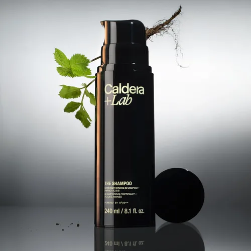 Vista 3 de Caldera + Lab The Shampoo Para hombres, fortalecimiento + aminoácidos