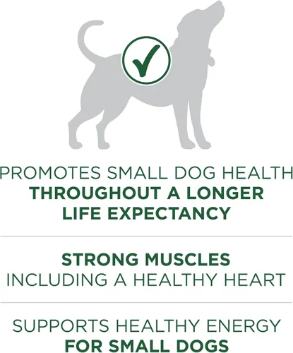 Vista 4 de Purina ONE Plus - Alimento seco para perros con fórmula de cordero y arroz de raza pequeña, bolsa de 3.8 libras