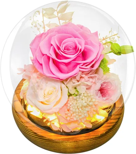 Vista 12 de Flores preservadas para mamá, rosas champán preservadas en cúpula de cristal con luz LED para novia, flores reales eternas para mujeres, regalo