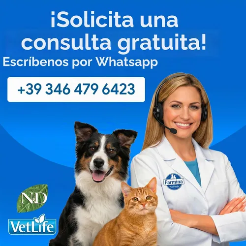 Vista 11 de Farmina - Alimento seco para perros adultos sin granos con calabaza, pollo y granada, mini raza