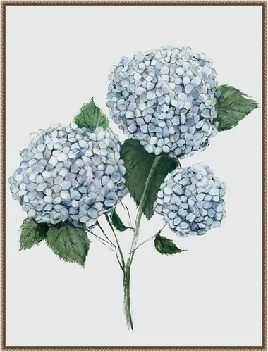 Vista 20 de Amanti Art Framed Canvas Wall Art 24x18 Fresh Blue Hydrangea II by Hannah Dawson, Framed Wall Art Canvas, Flowers Artwork, Traditional Decor, Medium