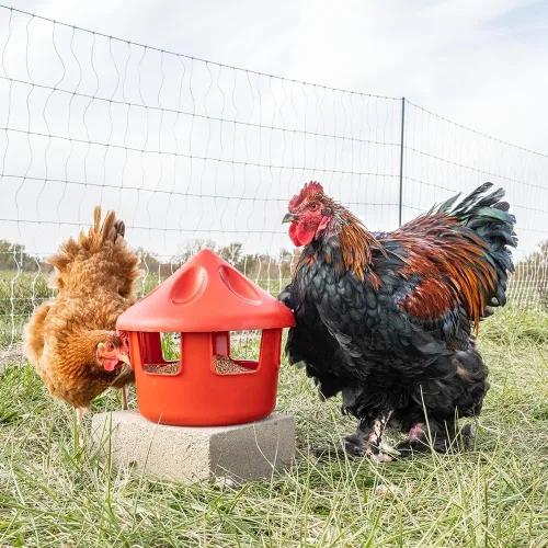 Vista 3 de Premier 1 - Comedero para grano de aves y concha de ostras, 6 libras.