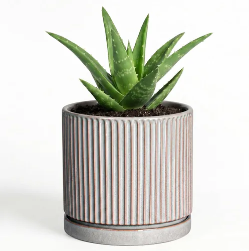 Vista 10 de 8 Inch Flower Pot, Ceramic Planters, Round Plant Pot, Beige