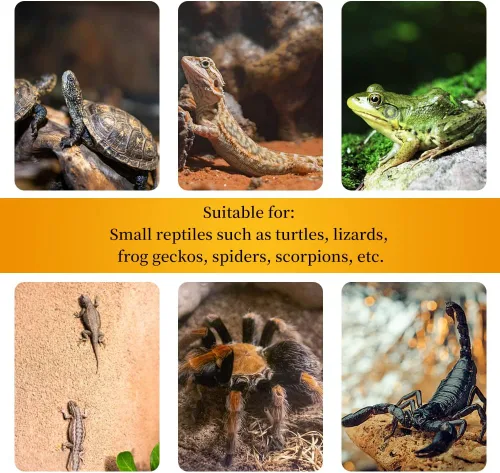 Vista 4 de Plataforma para tomar tortugas con ventosas fuertes, acuario de pecera, plataforma de escalada de tortuga, plataforma de escalada de reptiles