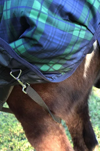 Vista 4 de Challenger 600D Caballo Participación Impermeable 300 GMS Relleno Plaid Manta de Invierno Capa 21EE08 Cuadros azul marino/verde