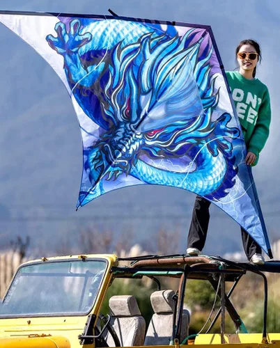 Vista 9 de Kites - Cometa gigante de playa para adultos, muy fácil de volar, adecuada para niños y adultos, para la playa/fiesta de kite/campo/parque