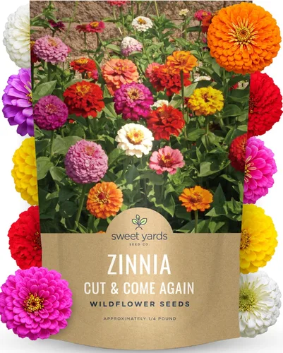 Vista 10 de Zinnia Cut & Come Again Mix - Paquete grande de 1 onza - 4,000 semillas de flores para plantar - Zinnia elegans