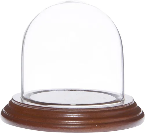 Vista 5 de Plymor 3 "x 3" Pantalla de cristal Dome Cloche (base de chapa de roble)