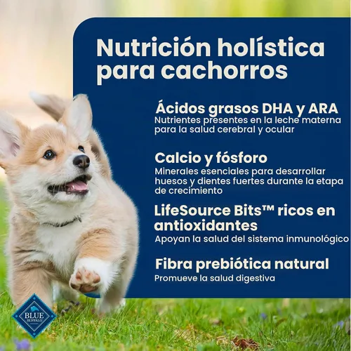 Vista 4 de Blue Buffalo - Alimento seco Life Protection Formula de pollo para cachorros, 15 libras