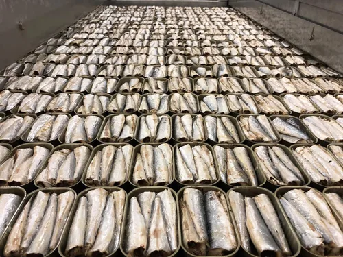 Vista 8 de Matiz Paquete variado de mariscos Paquete de 10 muestras , 1 lata cada uno de Matiz Seafood Line