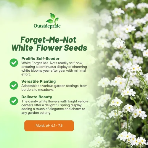 Vista 3 de Outsidepride White Forget Me Not Seeds - 5000 semillas de flores perennes de bajo crecimiento, auto-siembra para plantar flores blancas densas