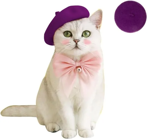 Vista 11 de Gorras de boina para perro Boinas para gatos Moda para las cuatro estaciones Graciosas y cómodas de lana Gorra para mascotas (Negro)