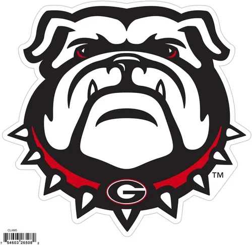 Vista 16 de NCAA, imán con logotipo, 8 pulgadas