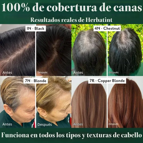 Vista 6 de Herbatint Tinte Permanente para el Cabello para Mujeres - 10C Rubio Sueco - Para Hasta un 100% de Cobertura de Canas Resistentes - Sin Amoníaco, Sin