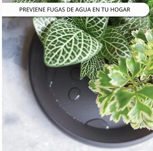 Vista 3 de Platillo para plantas, paquete de 6 bandejas de goteo, base de maceta, bandeja de drenaje de plástico resistente para plantas de interior y jardín