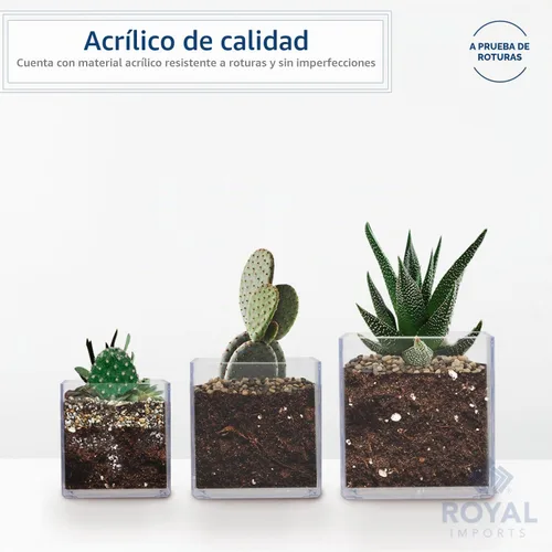 Vista 6 de Royal Imports Florero decorativo de acrílico transparente en forma de cubo – Florero cuadrado de plástico de 4"x4" para flores – Centro de mesa