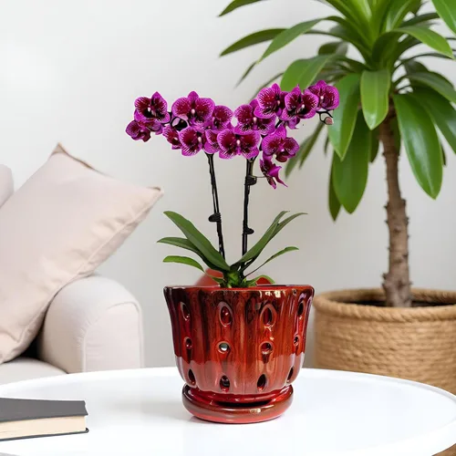 Vista 5 de Maceta de Cerámica para Orquídeas con Platillo Adjunto y Agujero de Drenaje de 6 Pulgadas (Rojo)
