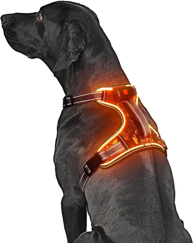 Vista 11 de Arnés para perro con luz LED para caminar de forma segura por la noche, chaleco de malla suave que brilla en la oscuridad, chaleco para perros