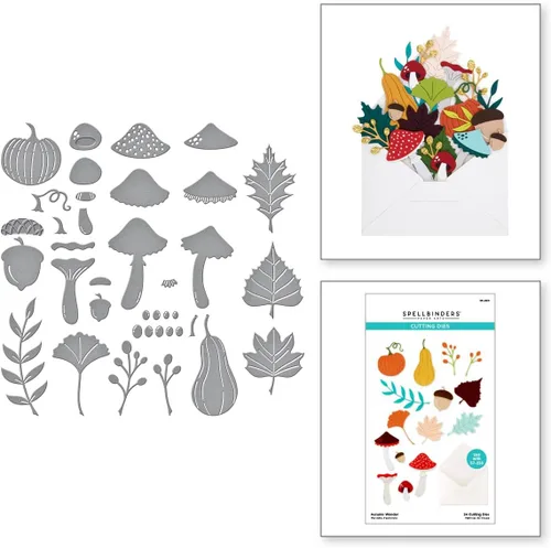 Vista 2 de Spellbinders Troqueles grabados S6-220 Autumn Wonder de The Envelope of Wonder Collection