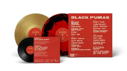 Vista 3 de Black Pumas Single