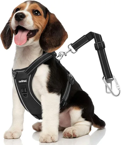 Vista 30 de VavoPaw cinturón de seguridad para perro, arnés de coche con hebilla ajustable para perro, cinturón de seguridad de nailon para mascotas, resistente