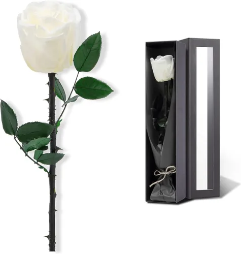 Vista 7 de Flores para Entrega Prime, Rosas Preservadas Regalos de Flores para Mujeres, Rosas Reales Regalos de Rosa Individual para Ella, Regalos