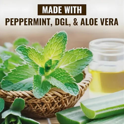 Vista 5 de Vitamatic Barra de olmo resbaladizo de 500 mg con menta 100 mg, DGL 100 mg y aloe vera 100 mg – Vegano, sin OMG – 180 cápsulas – Paquete de 2
