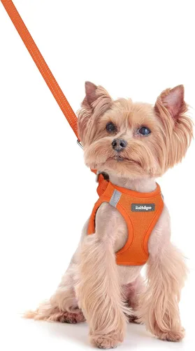 Vista 139 de rabbitgoo Arnés para perro de tamaño pequeño y juego de correa, chaleco Cachorros de manzana