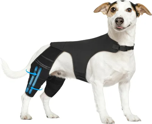 Vista 10 de Rodillera de perro para pierna trasera Acl, soporte de pierna de perro para pierna trasera, soporte de cadera ajustable para reducir el dolor
