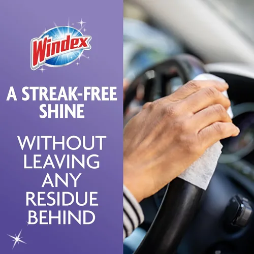 Vista 7 de Windex Toallitas de limpieza de vidrio, sin amoníaco, toallitas prehumedecidas para limpiar todas las superficies de vidrio, aroma fresco de lluvia