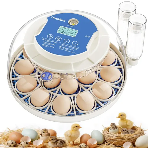 Vista 8 de Incubadora de 12 huevos con pantalla de temperatura y humedad, giro automático de huevos, vela de huevos, recarga automática de agua, para huevos