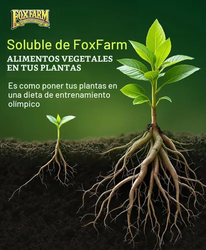 Vista 5 de FoxFarm Paquete de Trío de Nutrientes Solubles - Open Sesame, Beastie Bloomz, Cha Ching, Fertilizantes de Alto Octanaje para Hidropónico y Suelo