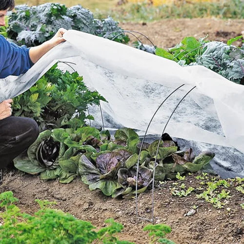 Vista 4 de Cubiertas para plantas, protección contra la congelación, cubierta antiescarcha, 7 x 10 pies, reutilizable, rectangular, protección contra heladas