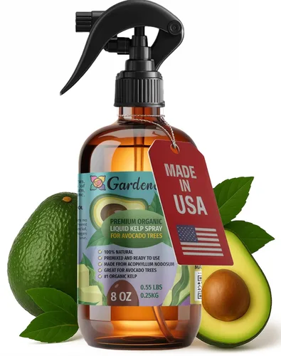 Vista 36 de GARDENERA Spray orgánico profesional de algas marinas para plantas AGLAONEMA – 8 oz – Rocío fertilizante de algas marinas y algas marinas totalmente