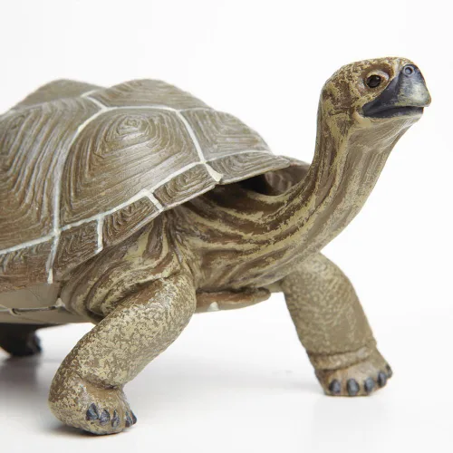 Vista 3 de Safari Ltd. Figura de tortuga – Figura detallada de plástico de 8.5 pulgadas – Divertido juguete educativo para niños, niñas y niños a partir de 18