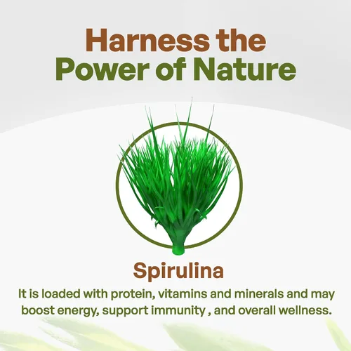 Vista 3 de Go Nutra Polvo de espirulina orgánica, suplemento de hierbas superalimentos