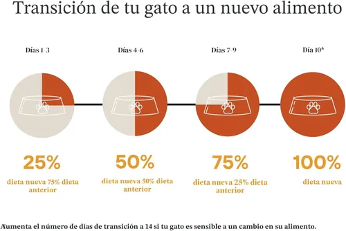 Vista 5 de Marca de Amazon - Wonder Bound, paquete variado de comida húmeda gourmet para gatos con salsa (pavo, pollo, ternera), aves, fabricada en EE. UU., 3