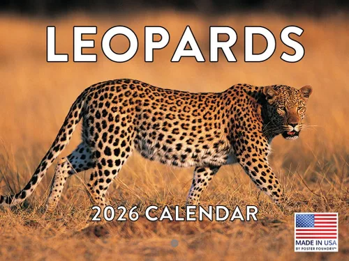 Vista 14 de Calendario mensual de pared de alpaca 2025 Fabricado en Estados Unidos