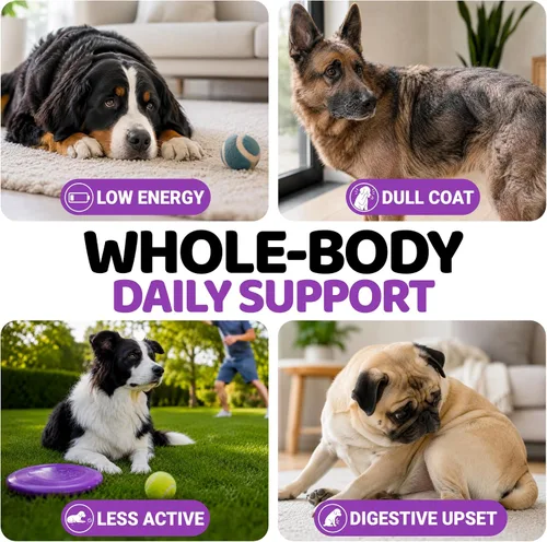 Vista 3 de Vitaminas y suplementos para perros - 170 masticables - Multivitamínico