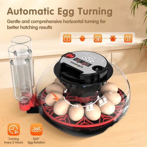 Vista 5 de Incubadoras para huevos para incubar huevos, 12 huevos con giro automático de huevos y control de humedad, visualización de 360° para pollo, patos
