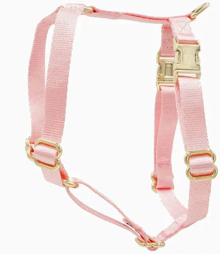 Vista 10 de Arnés de nailon para perro sin tirones con hebillas de metal doradas, arnés para perro fácil de caminar y entrenar (azul aire, XS)