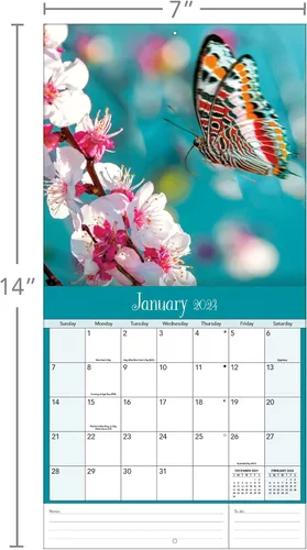 Vista 3 de Turner - Mini calendario fotográfico de pared con mariposas (24998950054)