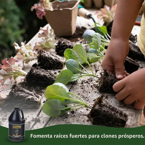Vista 4 de Solución nutritiva para plantas Clone Solution de Clonex, HDCCSGAL, de 1 galón, hidrodinámica, internacional, 1 Cuarto de galón, Transparente For