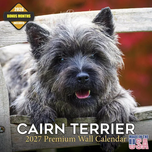 Vista 131 de Calendario de Lebrel Afgano 2025 2026, calendario mensual de pared de raza canina, 12" x 18" abierto, papel grueso sin traspaso, ideal para regalo