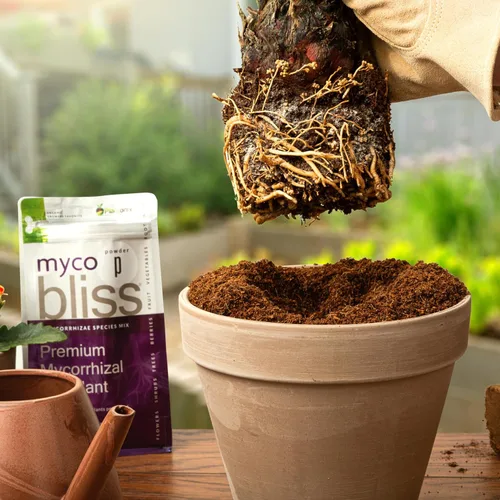 Vista 7 de Myco Bliss mezcla de hongos micorrícicos orgánicos (5 especies de endomicorrizas) para plantas