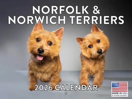 Vista 172 de Calendario mensual de pared Airedale Terrier Dog 2027 rojo (Airedale Terrier)