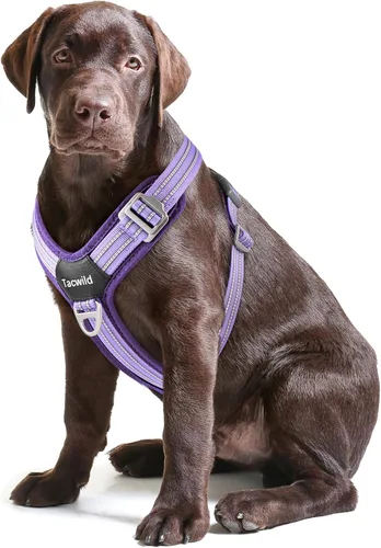 Vista 22 de Arnés sin tirones para perro, chaleco reflectante ajustable con broche de metal, malla suave transpirable sin estrangulamiento para cachorro, fácil